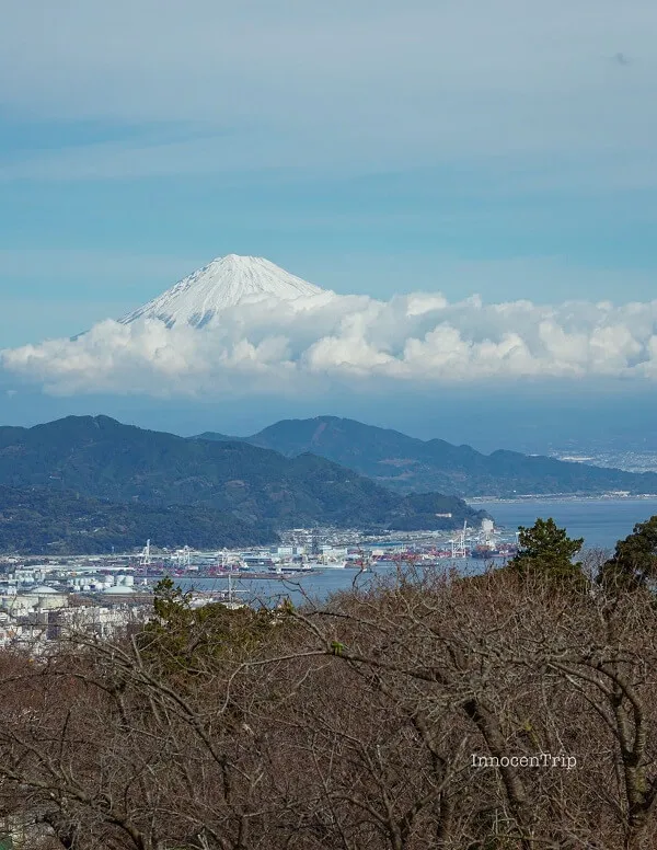 富士山と清水港を縦構図で切り取った日本平夢テラスの高台ビュー