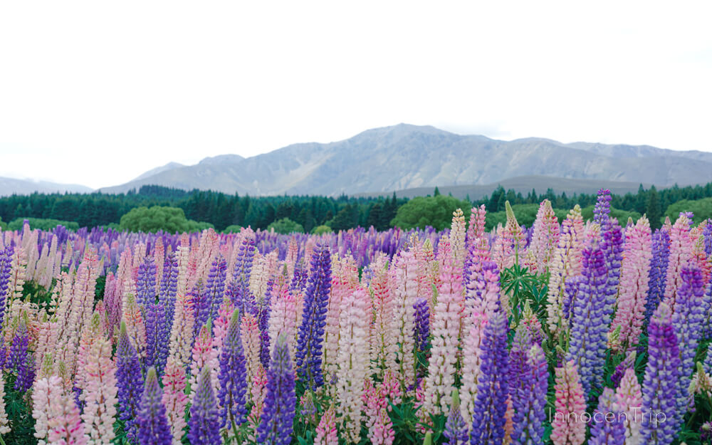 絶景好きがニュージーランドで本当に感動した圧倒的な絶景！5選